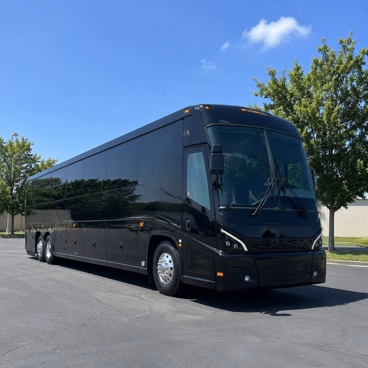 waiting on callbacks from five different bus companies is not a strategy